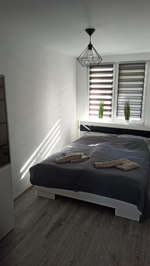 Apartament Zdrojowy Głucholazy Εξωτερικό φωτογραφία